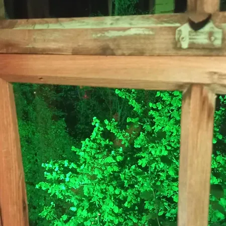 Kale-ibala Palam Cafe Eskiomerler