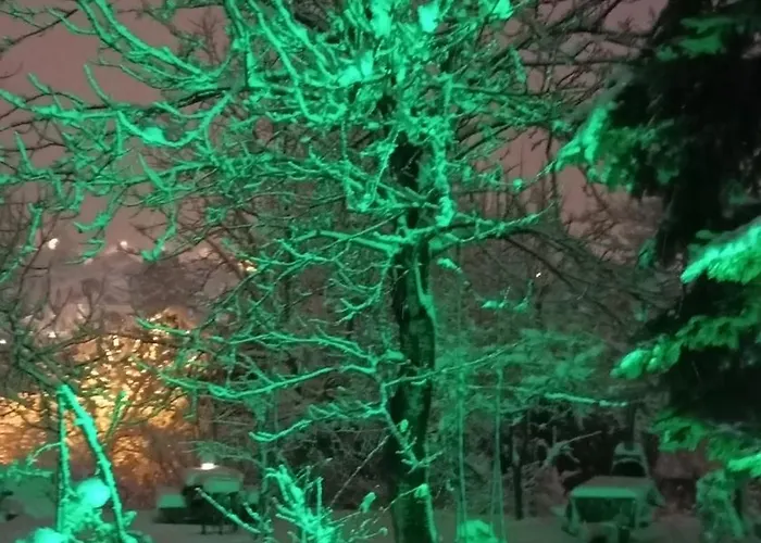 Kale-ibala Palam Cafe Bed & Breakfast Eskiomerler